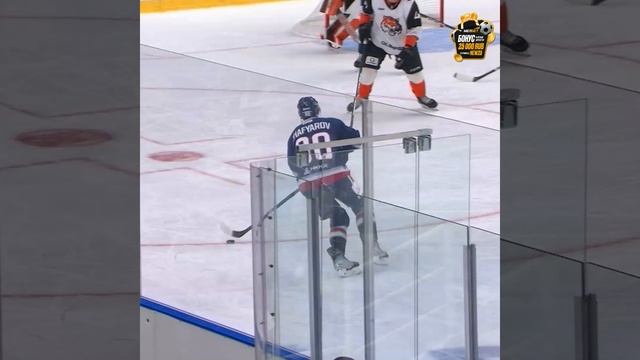 Красивая шайба от Дамира Жафярова