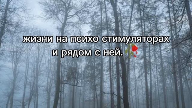 Да🌸