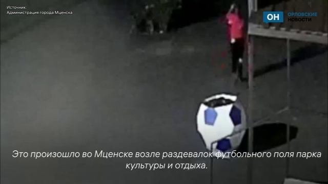 В Орловской области пострадал еще один вазон с цветами