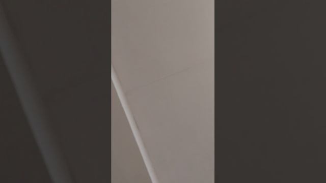 стрим в школе