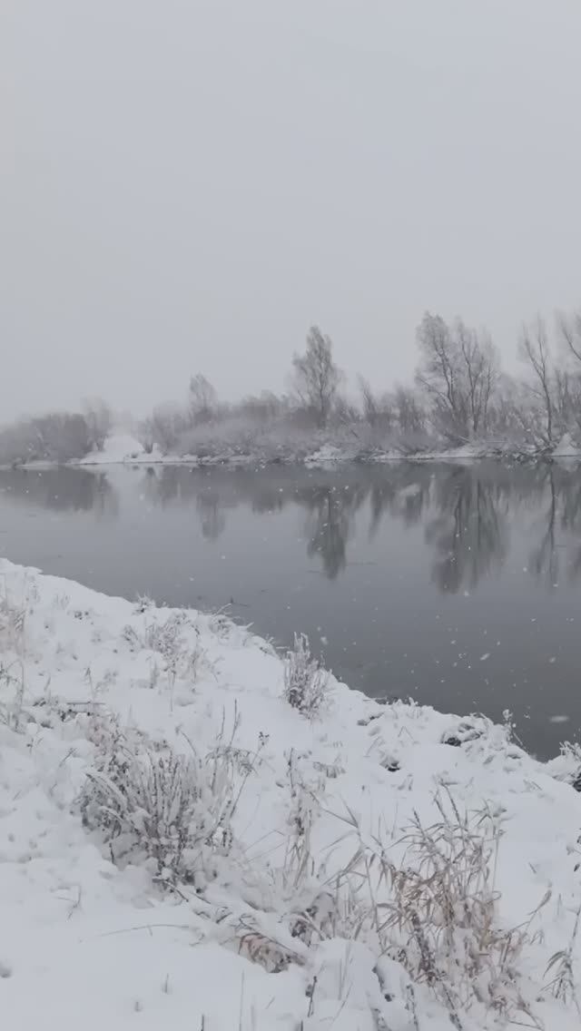 СНЕГА НАВАЛИЛО ❄️