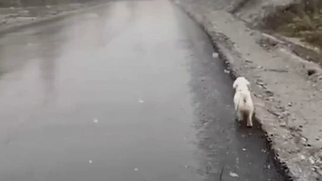 Урал завалило снегом