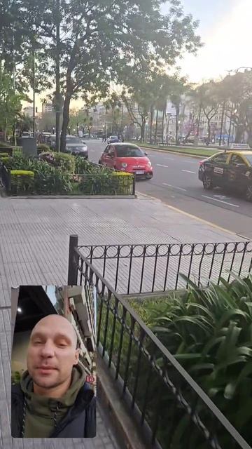 Хомячки на рынке