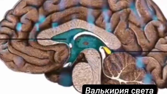 VID_20251010_211445_151.mp4
