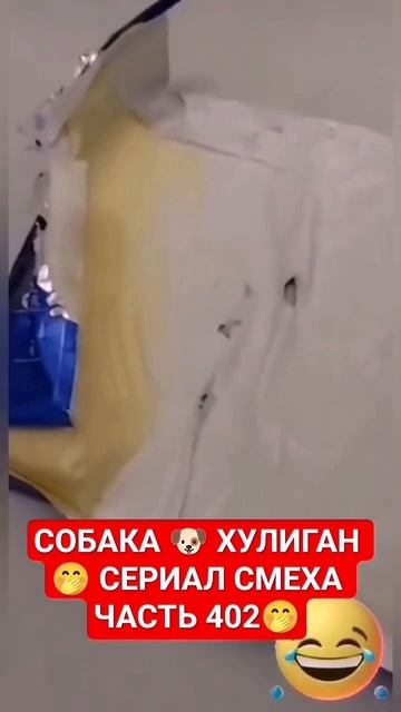 ПЁСИК НАКОСЯЧИЛ🙃 СМЕХ ДО СЛЁЗ 105 СЕРИЯ 🤣