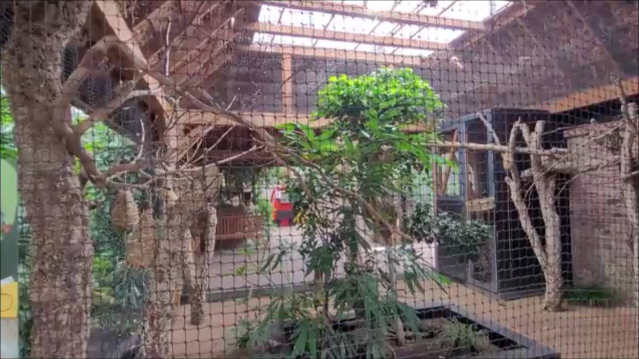 Птицы в парке отдыха…