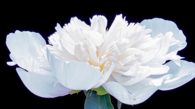 Lv_0_20251004163945.mp4