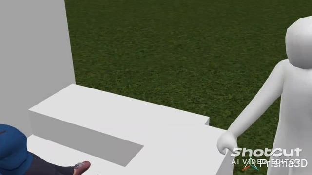 1000008976.mp4