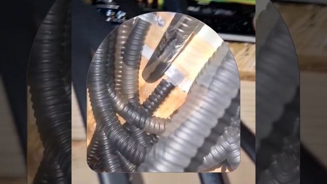 1000036849.mp4 (Собака смотрит на монтаж электропроводки (в э/щите) в доме А-фрейм)