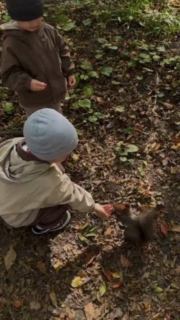 Видео с Белочками