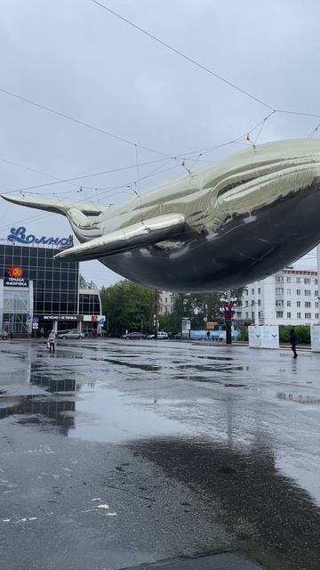 В центре Мурманска