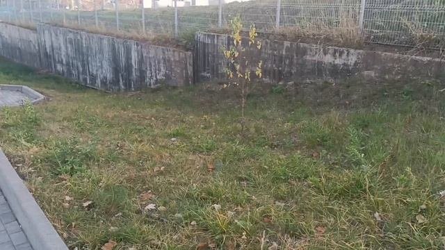 Ах какая песня . А любят не нежных не добрых не ласковых. Просто все очень просто!!!!.