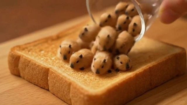 НЕЙРОСЕТЬ ЖИВОТНЫЕ БУТЕРБРОДЫ | ФЭЙКОВЫЕ ЖИВОТНЫЕ !