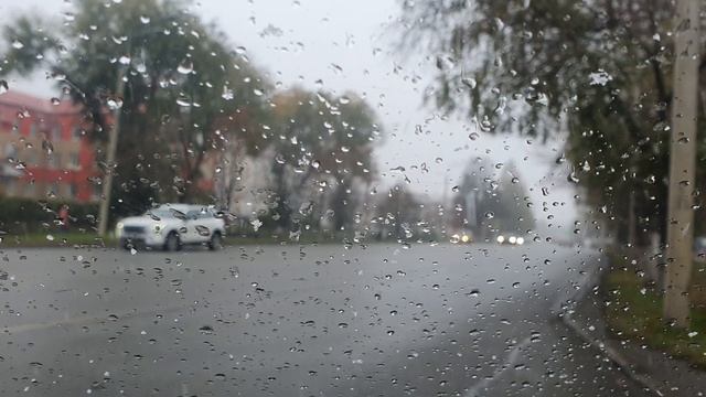 Вот и снег повалил...