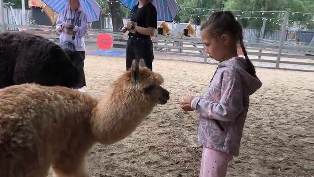 ольпака парк