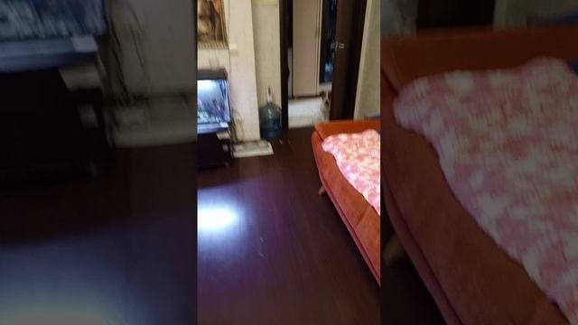готовим с Дашей