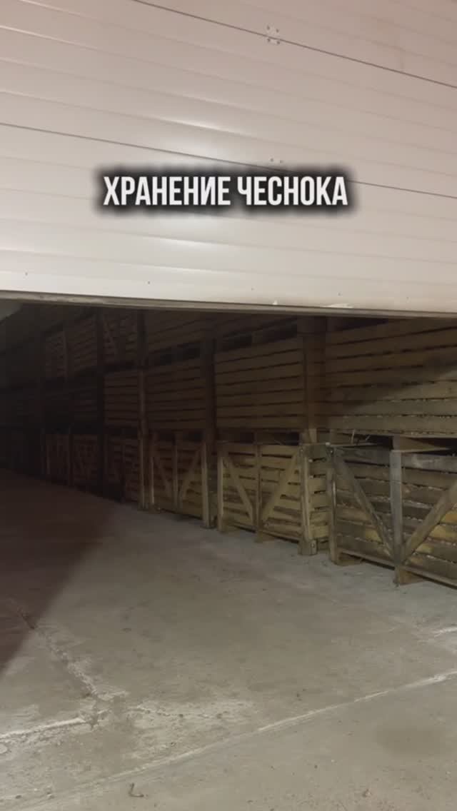 Хранение российского чеснока АгроИнвестРФ