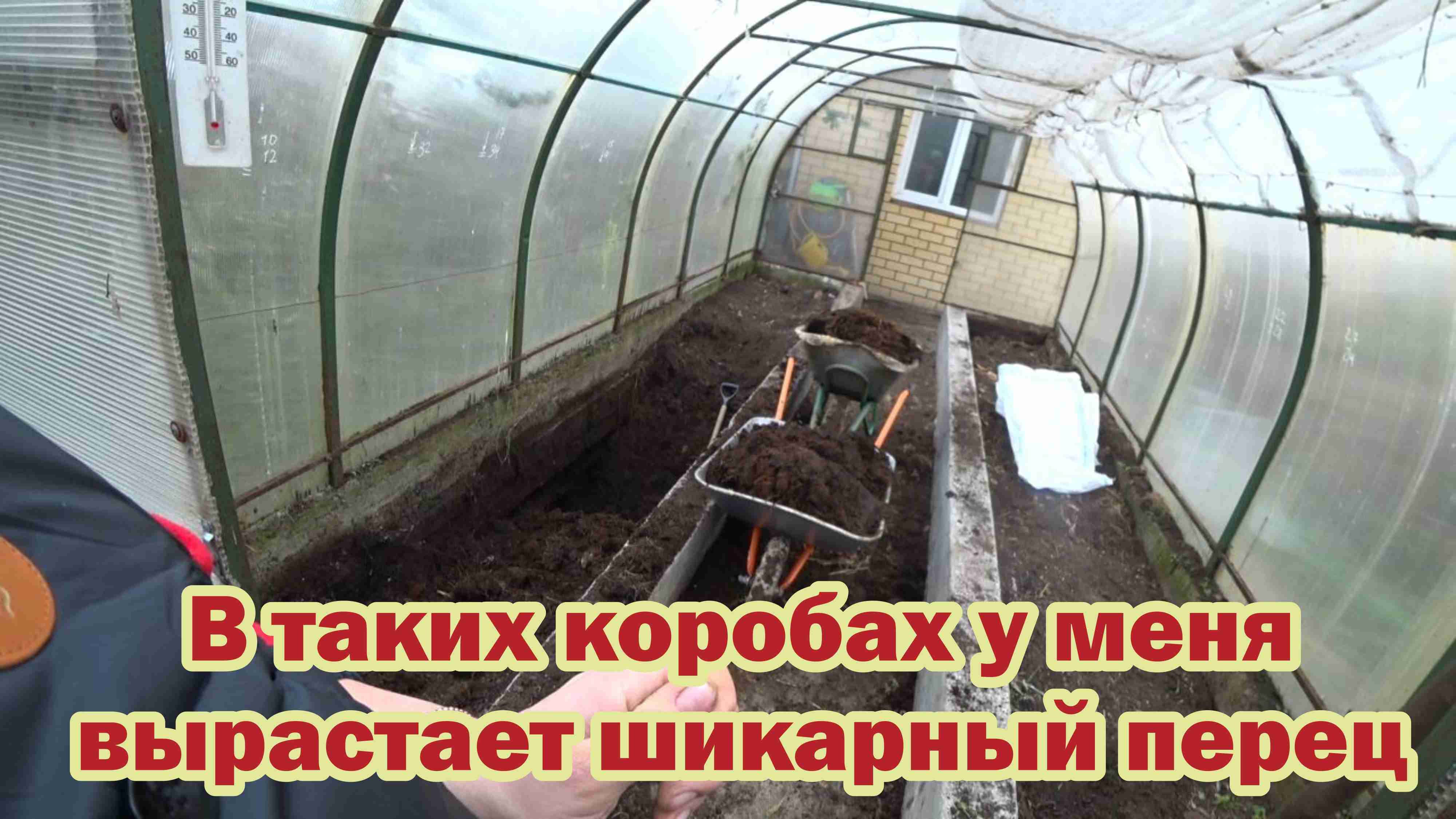 Лучший урожай перцев и баклажанов в теплых коробах!