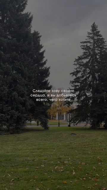 Твой путь может быть любым — но он становится ясным, когда ты понимаешь, зачем идёшь
