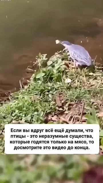 настоящий рыбак