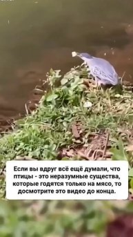 настоящий рыбак