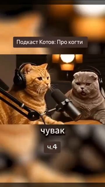 Разовор двух умных котов 🐱
