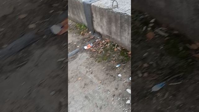 иду после школы домой
