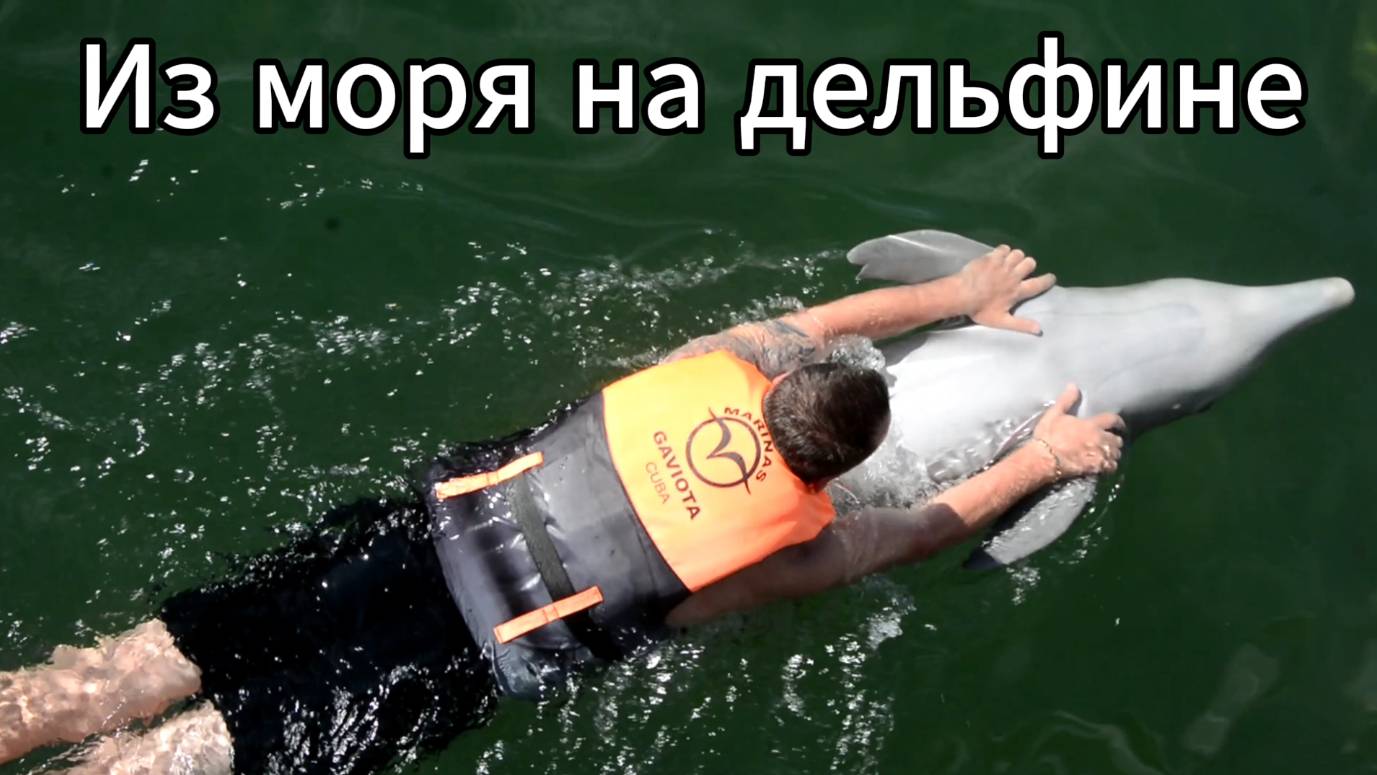 Из моря на дельфине КУБА