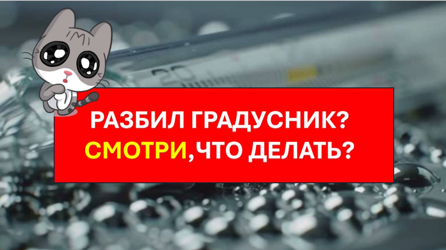 Разбил градусник, что делать? Вызывать специалистов службы ТестЭко
