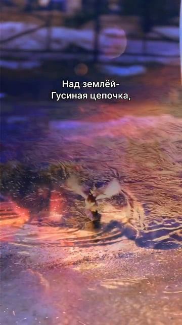 Весна! Солнечные дни и Лужи и Метель! #читаюстихи #стихи #ожизни #стих #поэзия