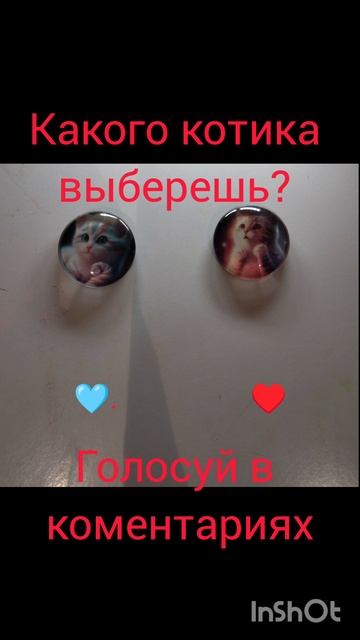 я выберу 🩵 #котики #милота #значки