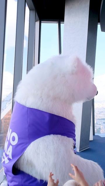 НАСТОЯЩИЙ КЛАД НА PANORAMA360 🤫