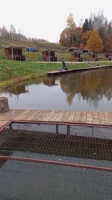 Forest Fishing 10.10.25