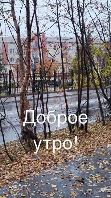 ДОБРОЕ Утро🤗