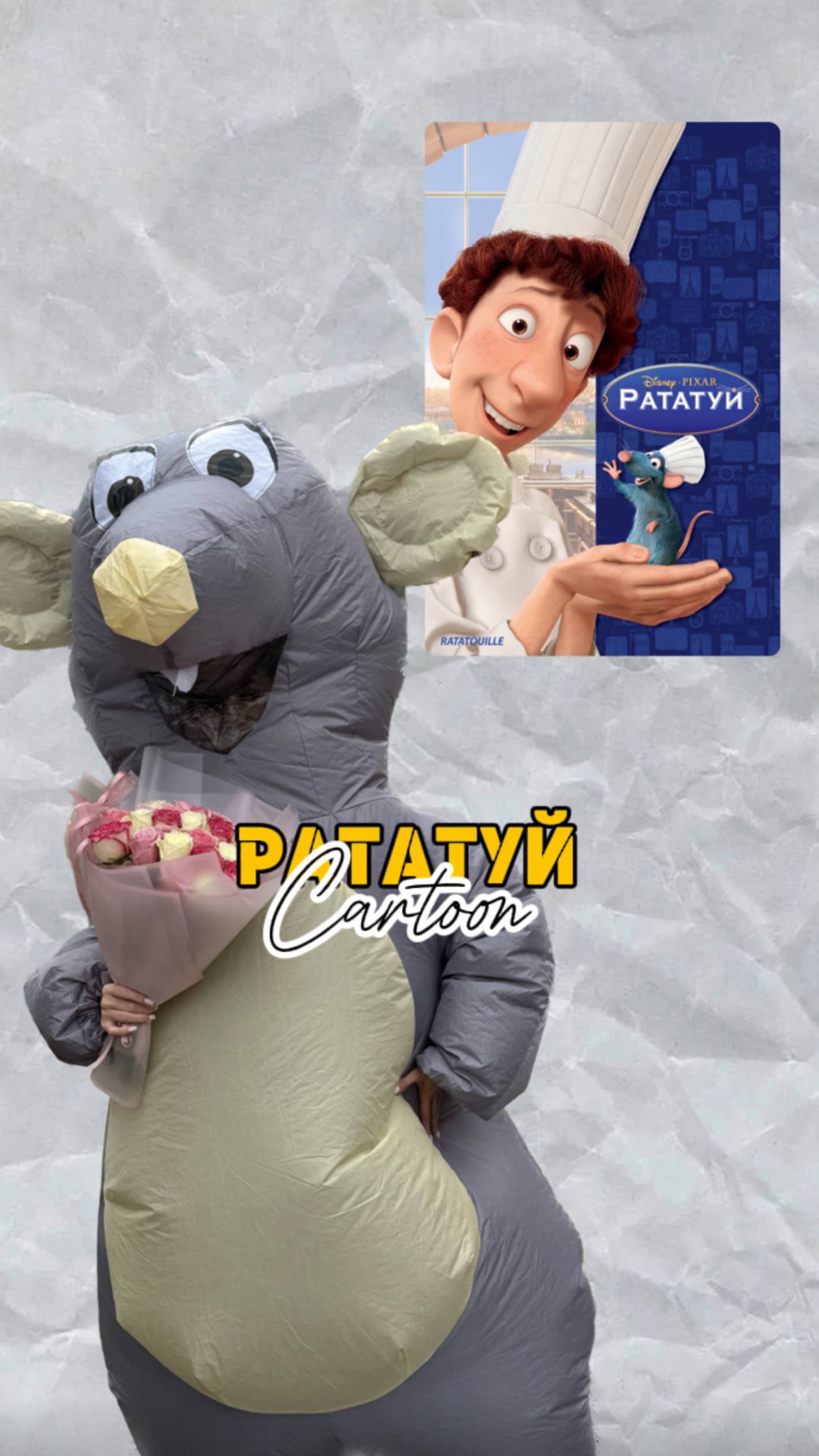 🍿 Рататуй 🐭