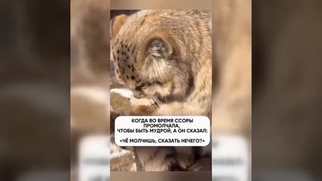 Видео от МЭН - Мне Это Нравится