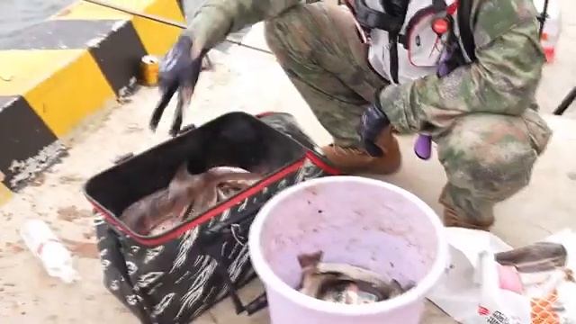 🎣Прибрежный город Циньхуандао стал излюбленным местом любителей рыбалки