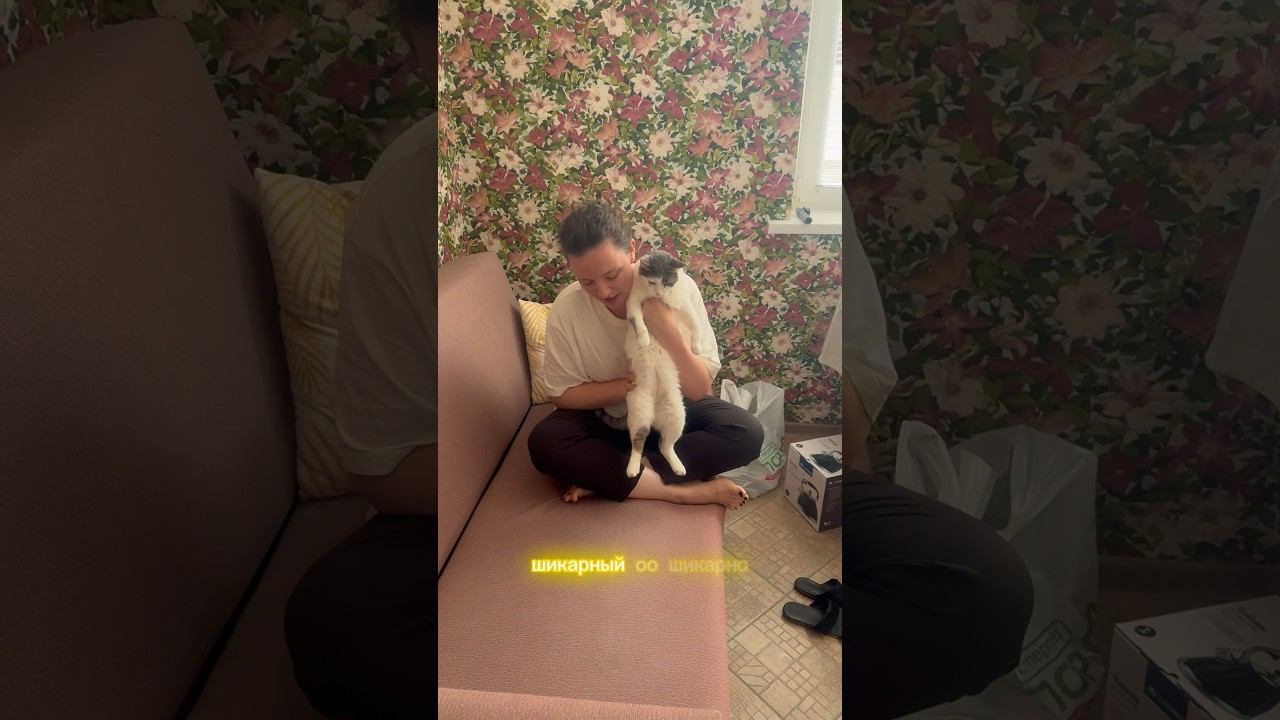Посуду обновили #cat #shots