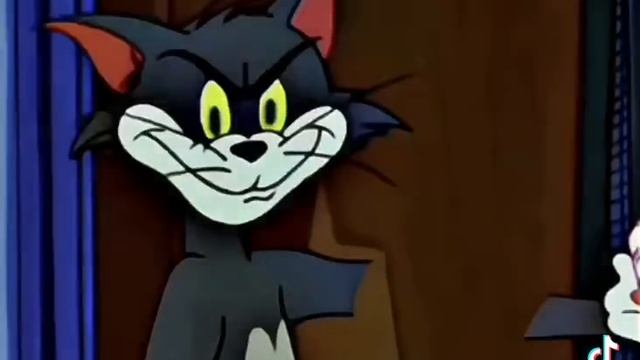 1000005439.mp4