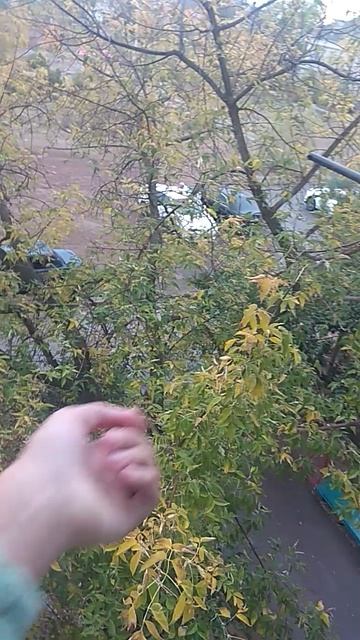 мдауш ну и погодка