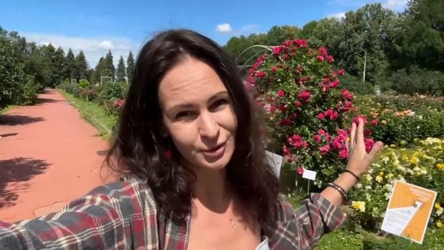 Ботанический сад МГУ, розарий ботанического сада, как устроен ботанический сад МГУ?Скульптуры в саду