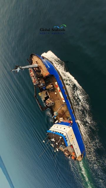 🚢 Лососевый тендер “Bulldog” в Пьюджет-Саунд | DJI Avata FPVПосмотрите на работу лососевого тенде