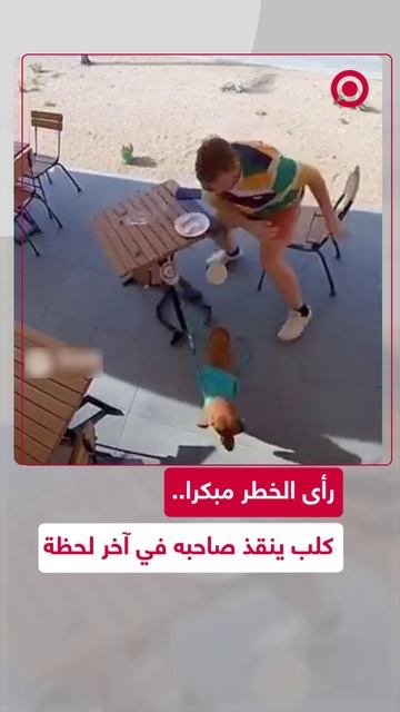 كلب ينبح وينقذ صديقه في آخر لحظة