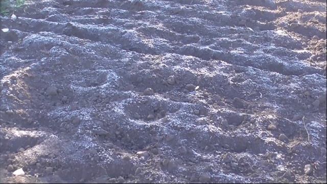 Мой фильм Первые заморозки