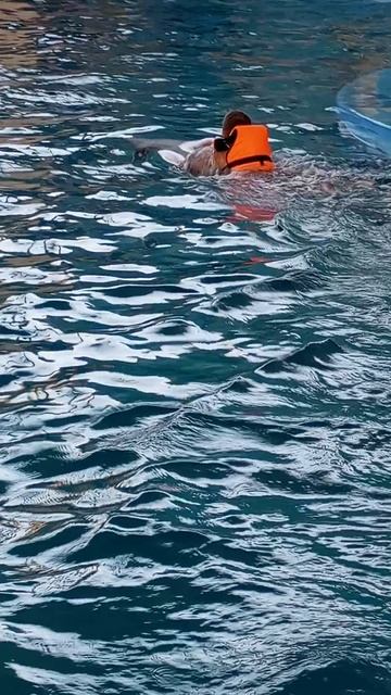 VID_20250906_175750_105446.mp4