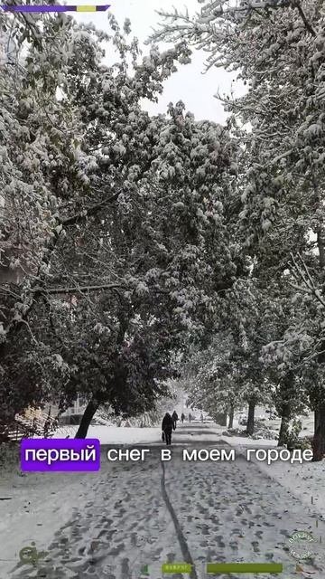 Первый снег