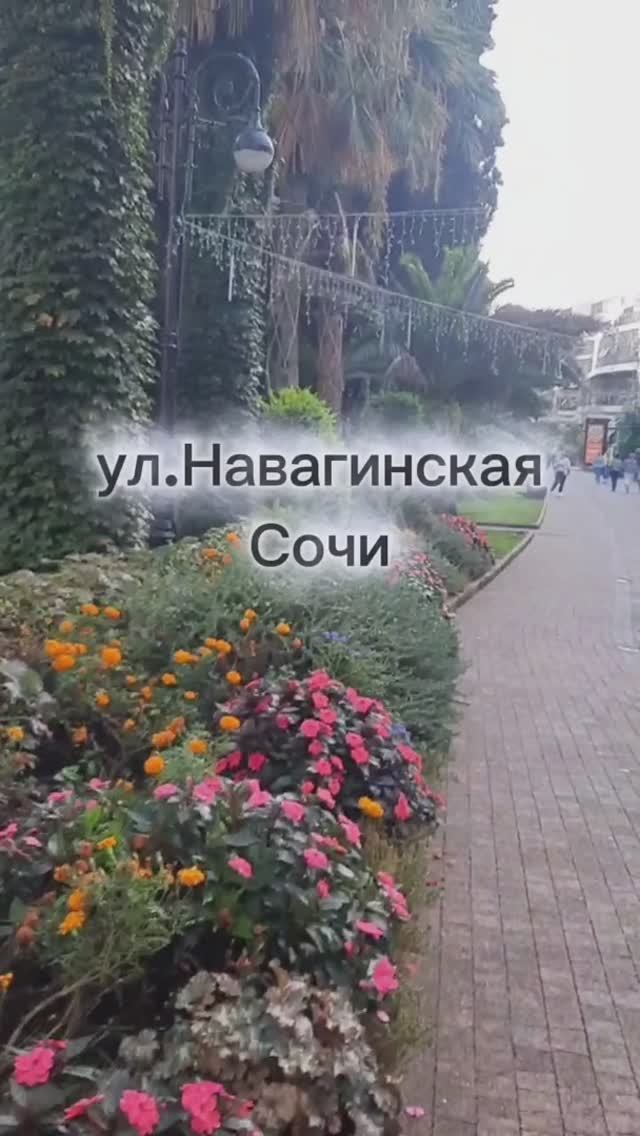 Ул.Навагинская , Сочи, октябрь 2025