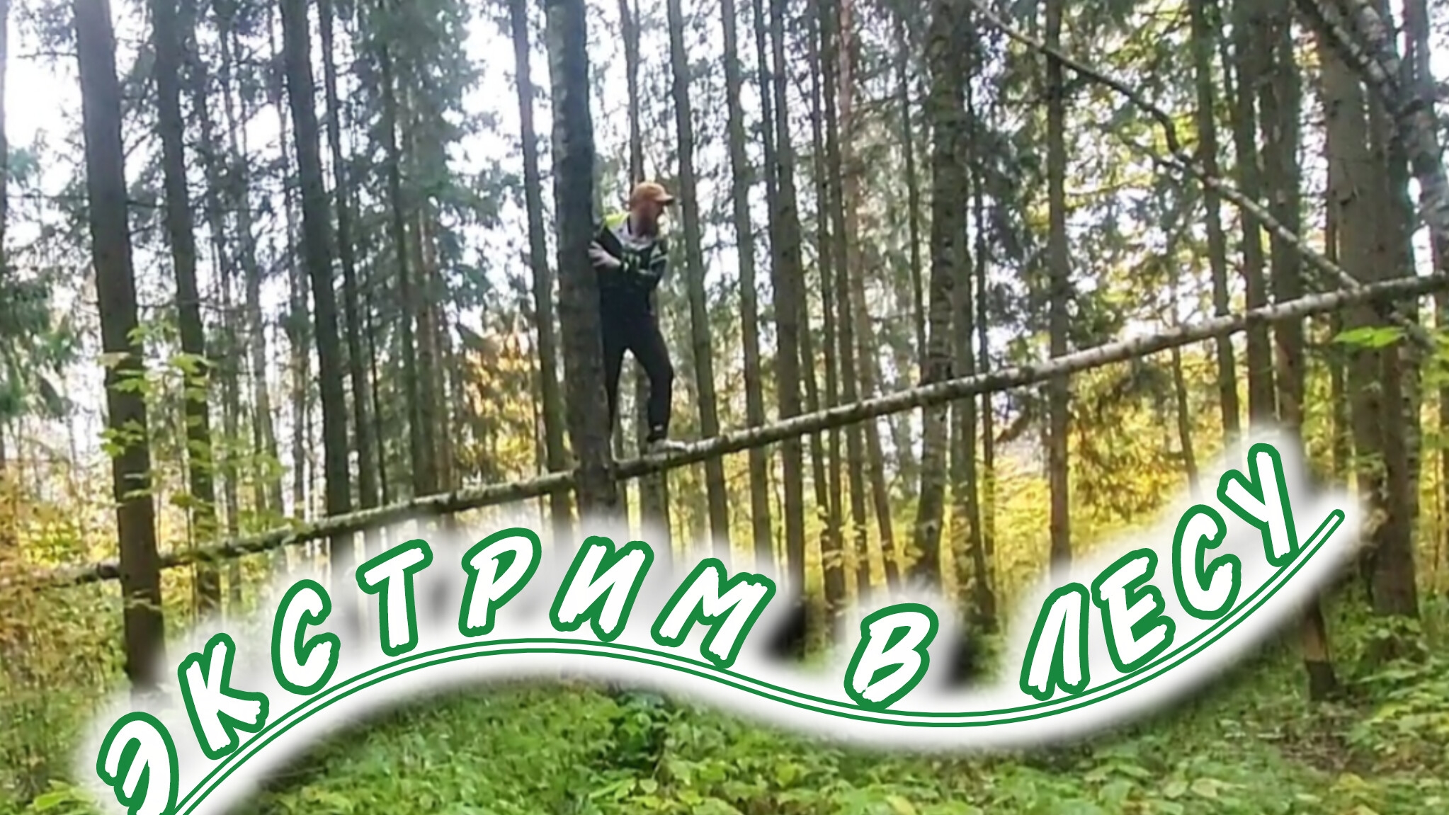 экстрим в лесу