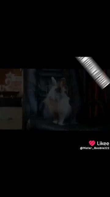 Хех^^для будущей стаи🫶🫰
