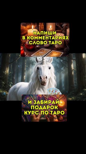 Женская школа Таро